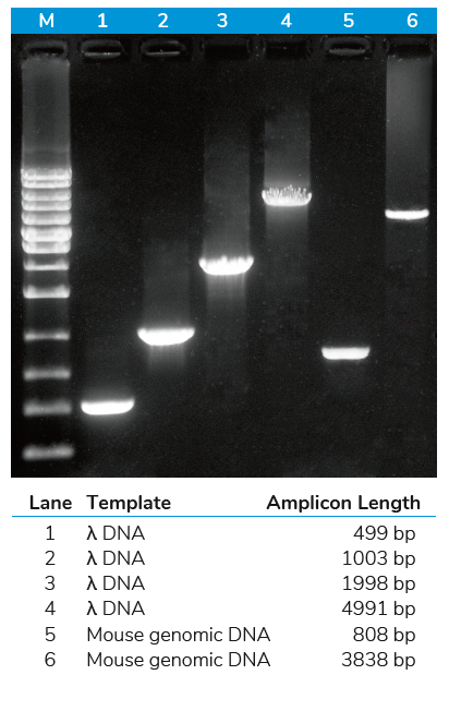 99cdcac1442db826a9297875dac8c658_1593670332_3046.png