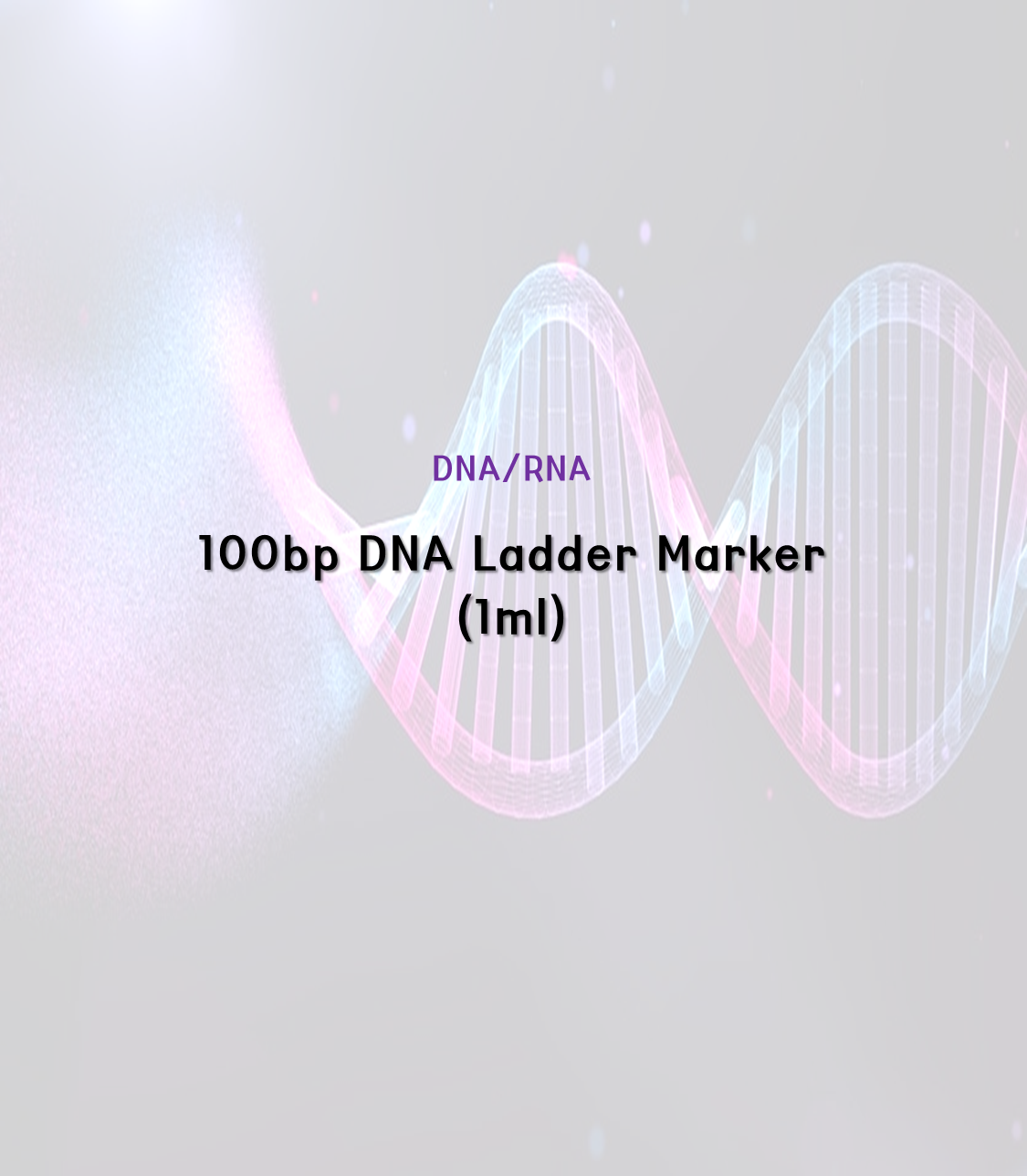100bp DNA Ladder Marker [1ml]