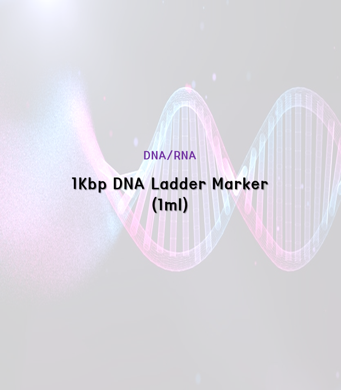 1Kbp Plus 100bp DNA Ladder Marker [1ml]