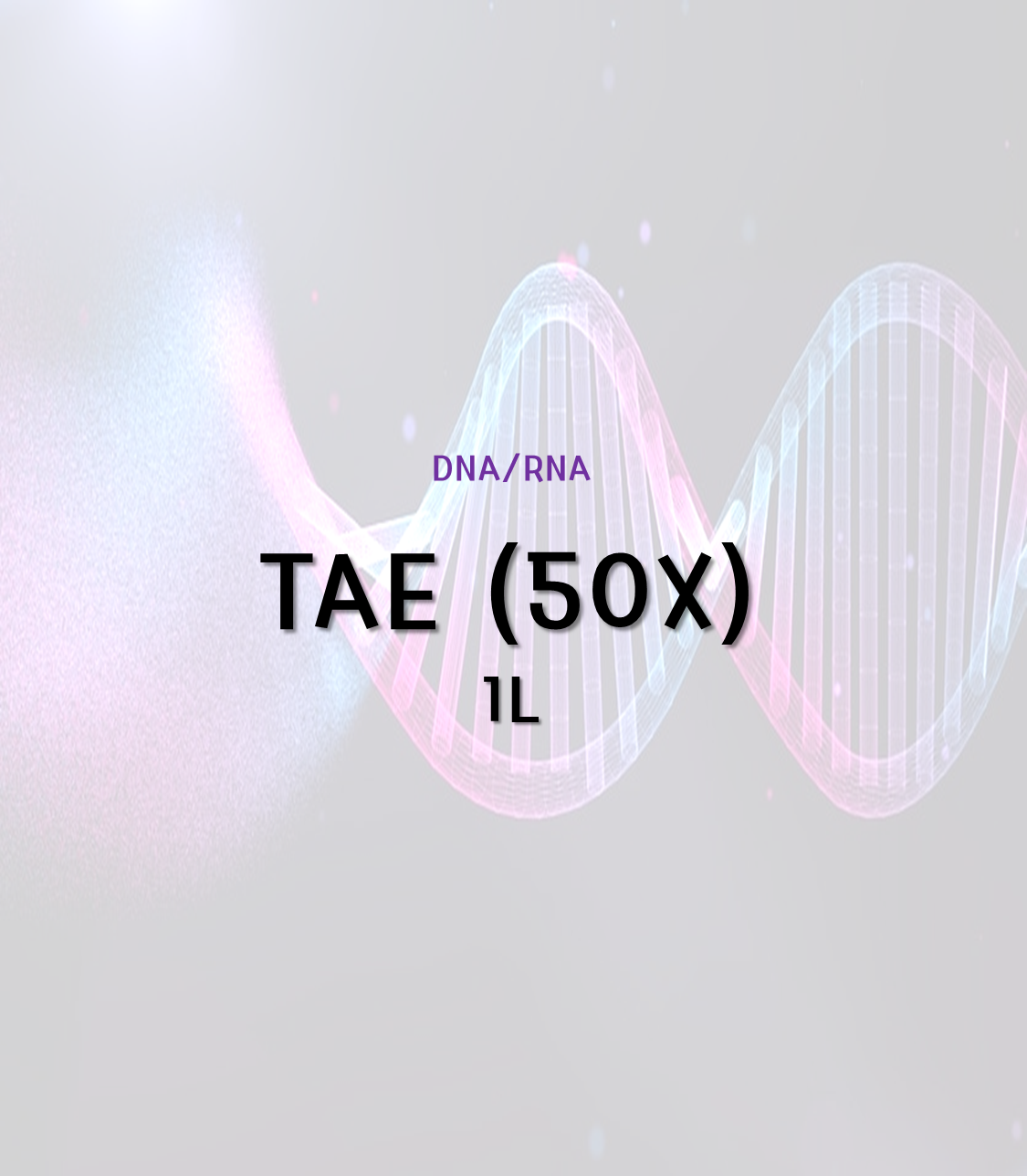 TAE (50X) [1L]
