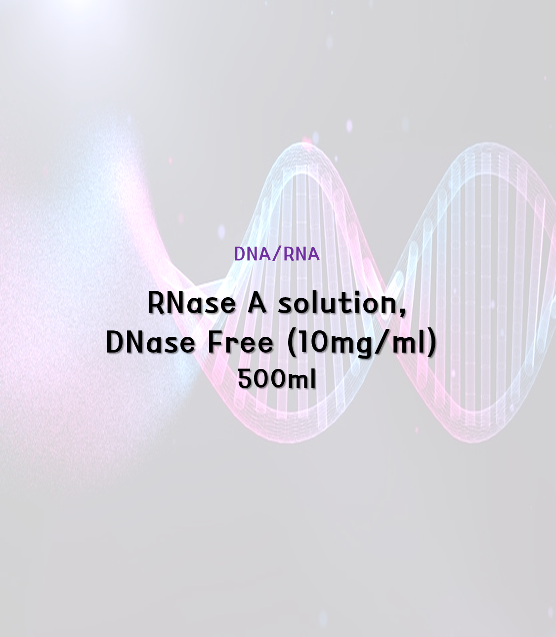 RNase A solution, DNase Free (10mg/ml) [10ml]