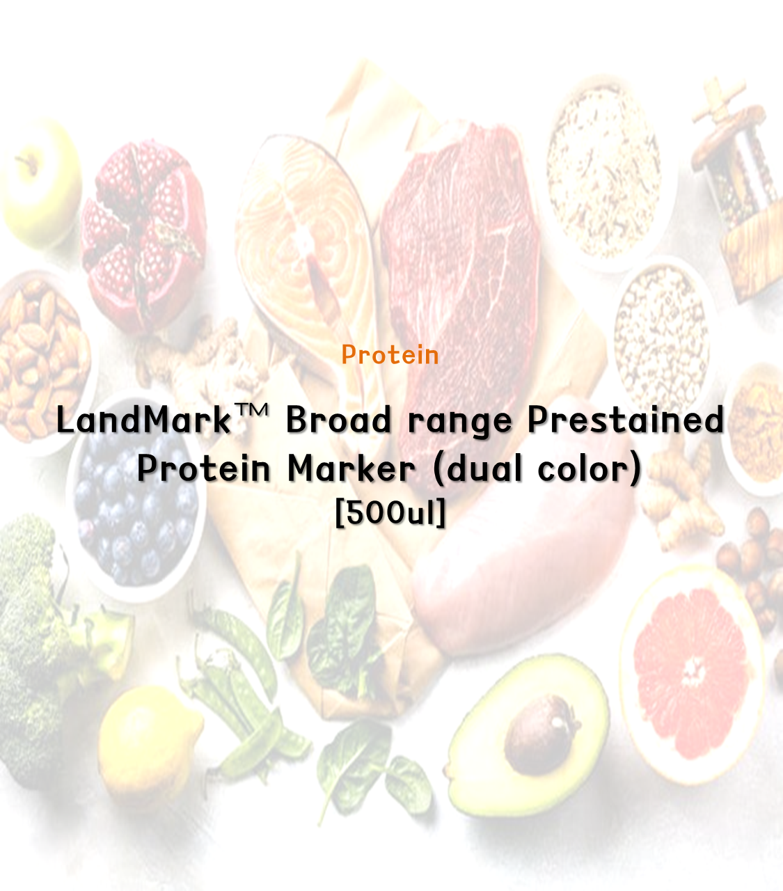 LandMark™ Broad range Prestained Protein Marker(dual color)[500 ul]