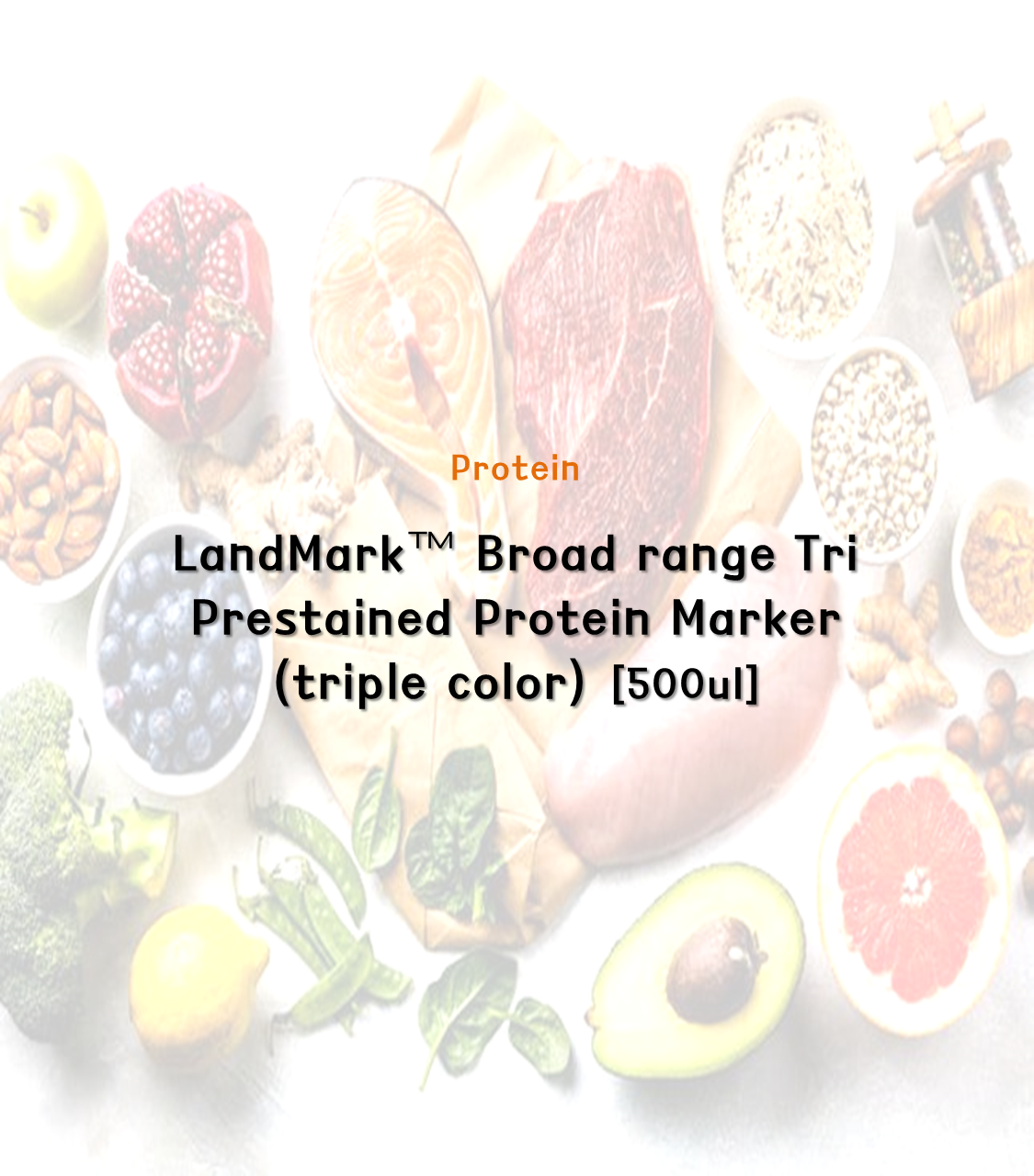 LandMark™ Broad range Tri Prestained Protein Marker(Triple color)[500 ul]