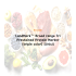 LandMark™ Broad range Tri Prestained Protein Marker(Triple color)[500 ul]