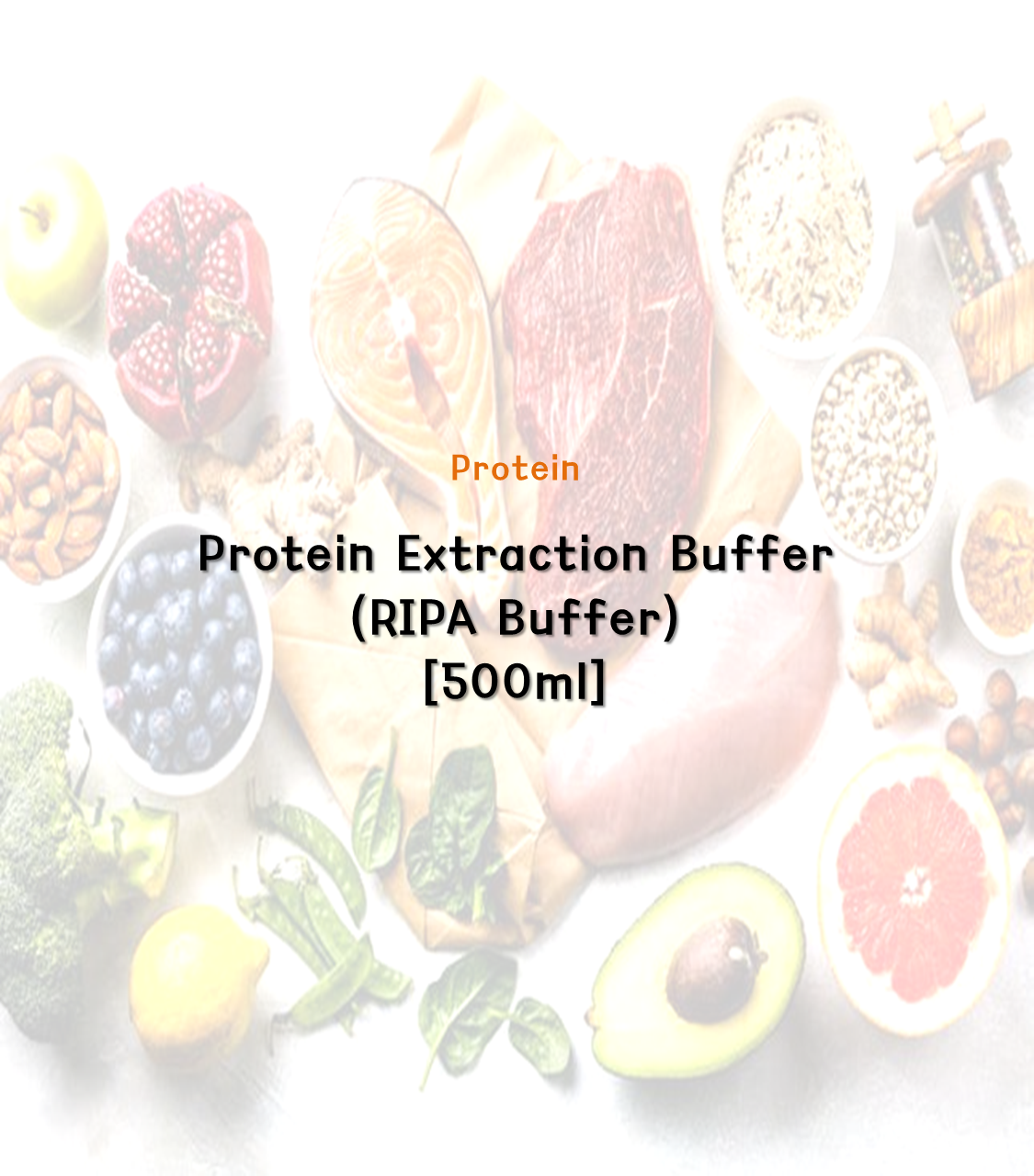 Protein Extraction Buffer (RIPA Buffer) [500ml]